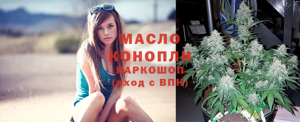 твердый Володарск
