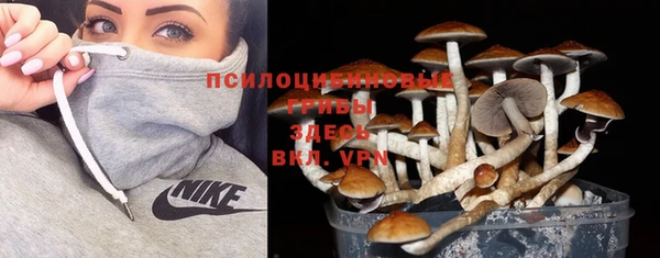 не бодяженный Переславль-Залесский