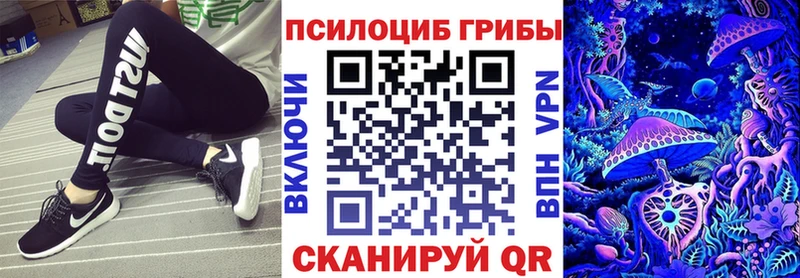 наркошоп  mega рабочий сайт  Галлюциногенные грибы MAGIC MUSHROOMS  Вольск 